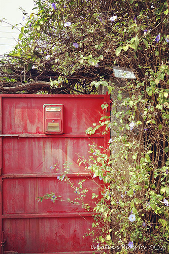 31_台南321巷藝術聚落