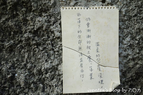 61_台南321巷藝術聚落