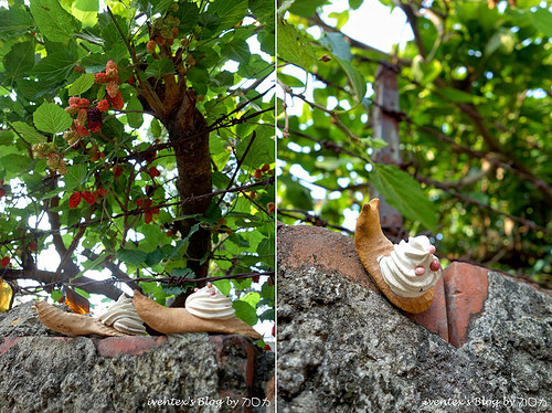 60_台南321巷藝術聚落