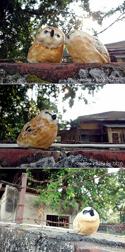 42_台南321巷藝術聚落