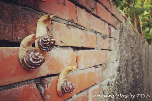 58_台南321巷藝術聚落