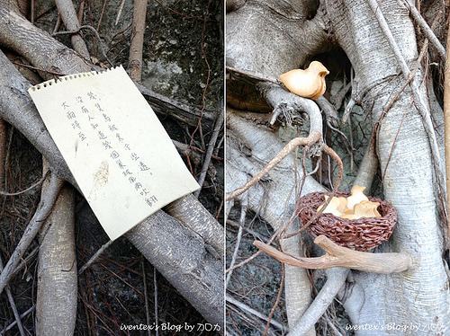 43_台南321巷藝術聚落