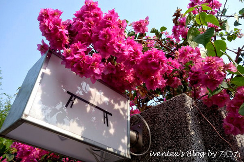 13_台南321巷藝術聚落