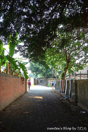 41_台南321巷藝術聚落