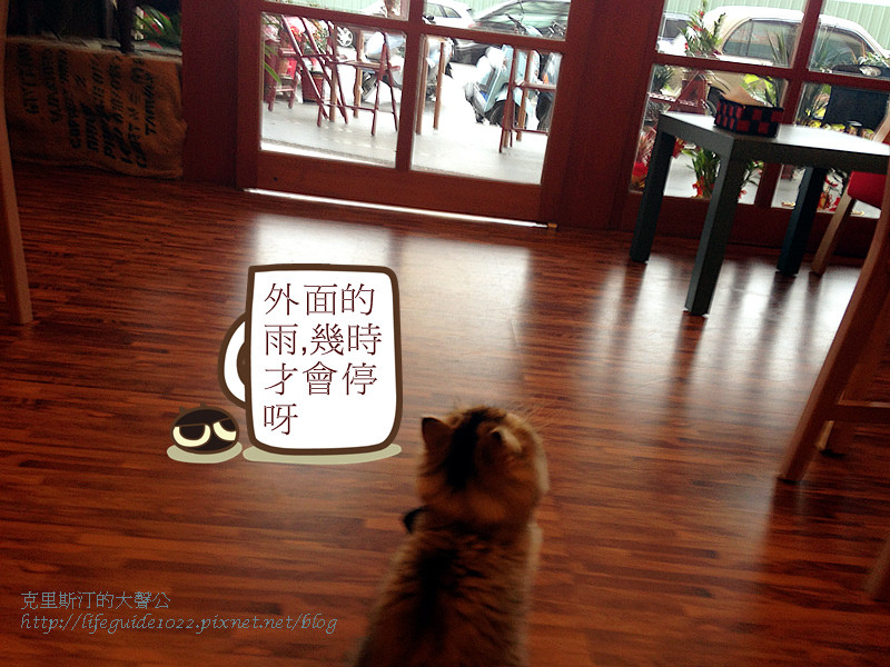 貓老闆 150_副本.jpg