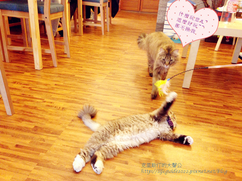 貓老闆 120_副本.jpg