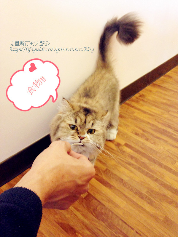 貓老闆 027_副本.jpg