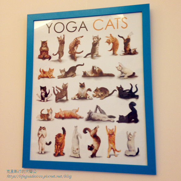 貓老闆 111_副本.jpg