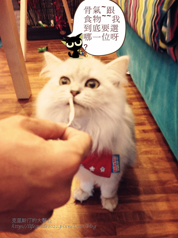 貓老闆 043_副本.jpg