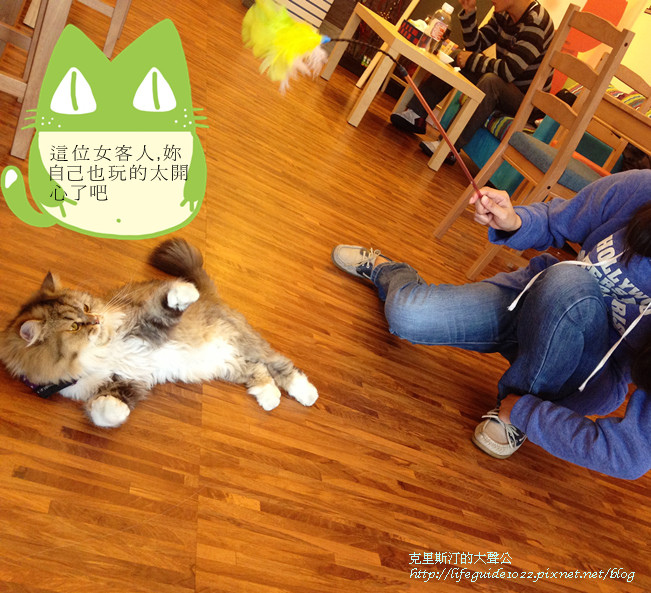 貓老闆 164_副本.jpg