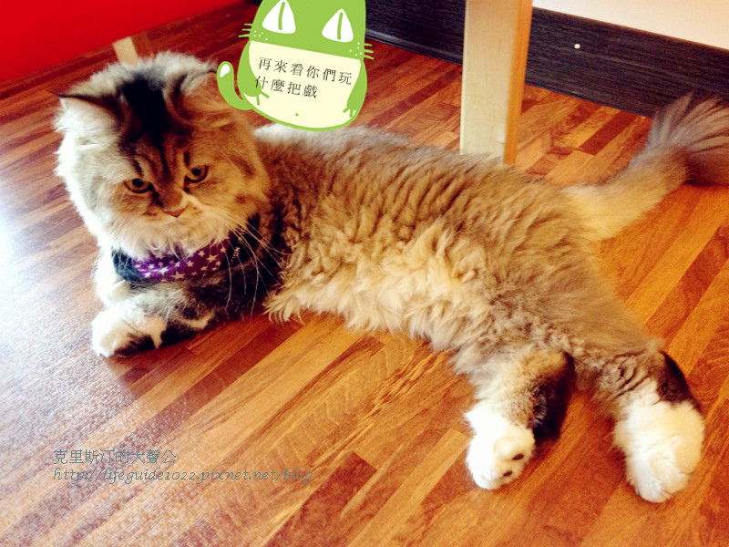 貓老闆 048_副本.jpg