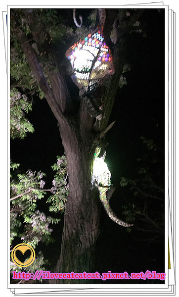 2014-02-28 22.01.42_副本.jpg