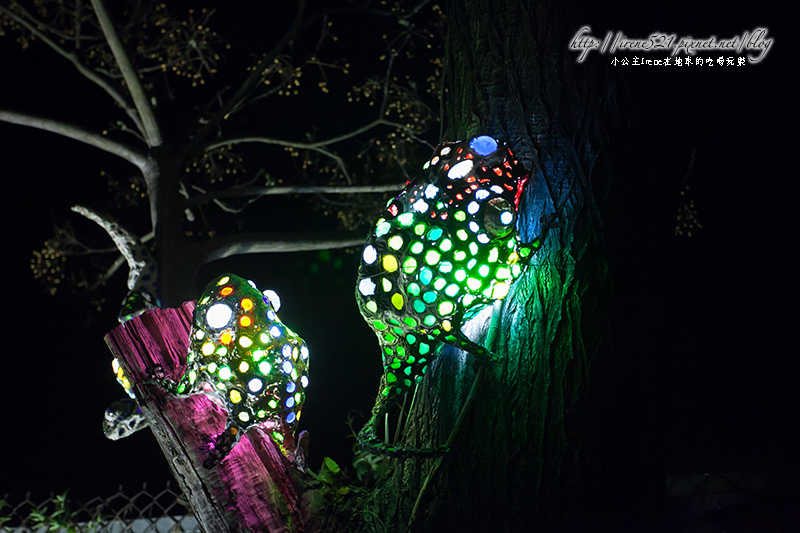 14.01.31-台南.月津港燈節