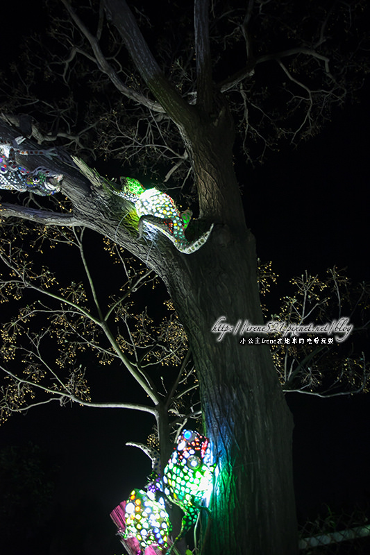 14.01.31-台南.月津港燈節