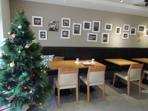 cm20131227___cbb9979d16ad217bc0d316071f0