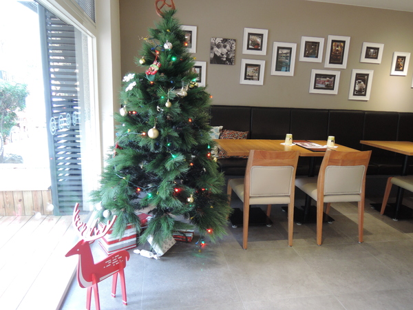 cm20131227___ddbb7c9d2158cd90081aba0e888