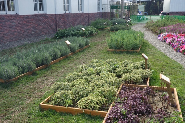 綠樹林幸福農場休閒餐廳：1030211[官本金文愛台灣口碑券第37彈]悠閒漫活的綠樹林幸福農場休閒餐廳享受美食饗宴與大自然譜出幸福樂章