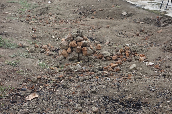 綠樹林幸福農場休閒餐廳：1030211[官本金文愛台灣口碑券第37彈]悠閒漫活的綠樹林幸福農場休閒餐廳享受美食饗宴與大自然譜出幸福樂章