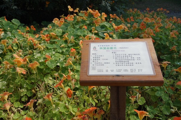 綠樹林幸福農場休閒餐廳：1030211[官本金文愛台灣口碑券第37彈]悠閒漫活的綠樹林幸福農場休閒餐廳享受美食饗宴與大自然譜出幸福樂章