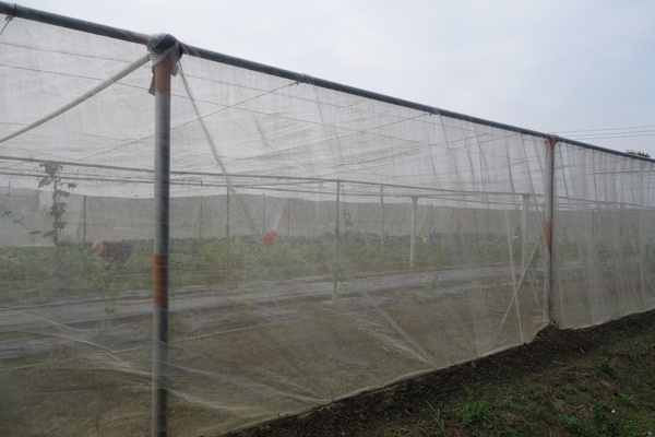 綠樹林幸福農場休閒餐廳：1030211[官本金文愛台灣口碑券第37彈]悠閒漫活的綠樹林幸福農場休閒餐廳享受美食饗宴與大自然譜出幸福樂章