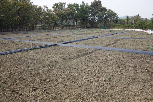 綠樹林幸福農場休閒餐廳：1030211[官本金文愛台灣口碑券第37彈]悠閒漫活的綠樹林幸福農場休閒餐廳享受美食饗宴與大自然譜出幸福樂章