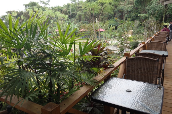 綠樹林幸福農場休閒餐廳：1030211[官本金文愛台灣口碑券第37彈]悠閒漫活的綠樹林幸福農場休閒餐廳享受美食饗宴與大自然譜出幸福樂章