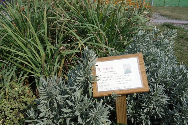 綠樹林幸福農場休閒餐廳：1030211[官本金文愛台灣口碑券第37彈]悠閒漫活的綠樹林幸福農場休閒餐廳享受美食饗宴與大自然譜出幸福樂章