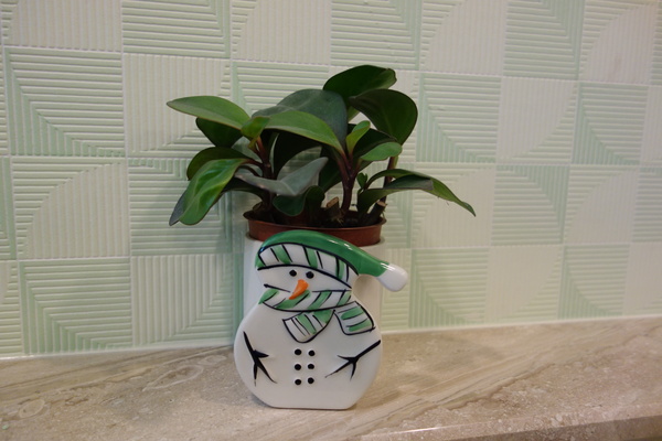 綠樹林幸福農場休閒餐廳：1030211[官本金文愛台灣口碑券第37彈]悠閒漫活的綠樹林幸福農場休閒餐廳享受美食饗宴與大自然譜出幸福樂章