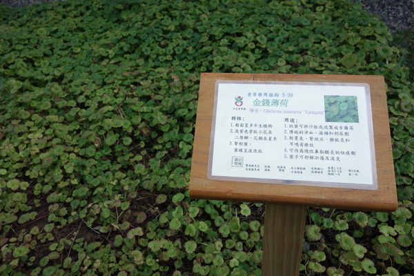 綠樹林幸福農場休閒餐廳：1030211[官本金文愛台灣口碑券第37彈]悠閒漫活的綠樹林幸福農場休閒餐廳享受美食饗宴與大自然譜出幸福樂章