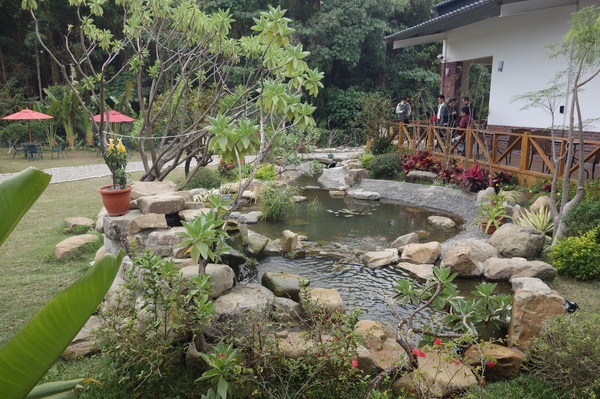 綠樹林幸福農場休閒餐廳：1030211[官本金文愛台灣口碑券第37彈]悠閒漫活的綠樹林幸福農場休閒餐廳享受美食饗宴與大自然譜出幸福樂章