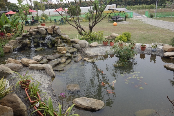 綠樹林幸福農場休閒餐廳：1030211[官本金文愛台灣口碑券第37彈]悠閒漫活的綠樹林幸福農場休閒餐廳享受美食饗宴與大自然譜出幸福樂章