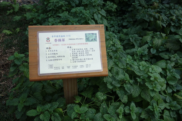 綠樹林幸福農場休閒餐廳：1030211[官本金文愛台灣口碑券第37彈]悠閒漫活的綠樹林幸福農場休閒餐廳享受美食饗宴與大自然譜出幸福樂章