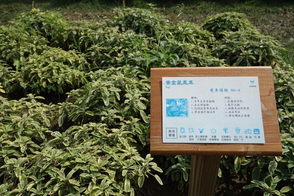 綠樹林幸福農場休閒餐廳：1030211[官本金文愛台灣口碑券第37彈]悠閒漫活的綠樹林幸福農場休閒餐廳享受美食饗宴與大自然譜出幸福樂章