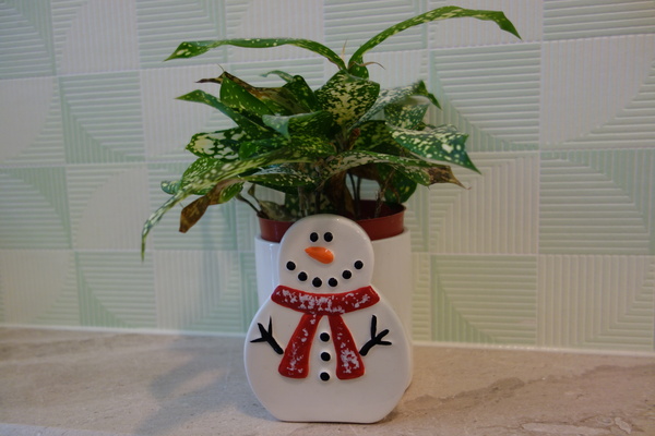 綠樹林幸福農場休閒餐廳：1030211[官本金文愛台灣口碑券第37彈]悠閒漫活的綠樹林幸福農場休閒餐廳享受美食饗宴與大自然譜出幸福樂章