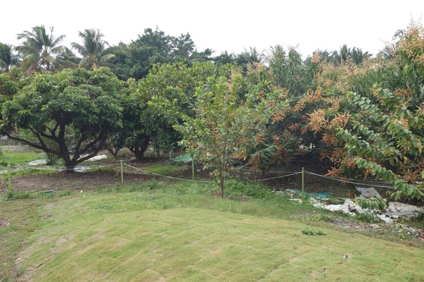 綠樹林幸福農場休閒餐廳：1030211[官本金文愛台灣口碑券第37彈]悠閒漫活的綠樹林幸福農場休閒餐廳享受美食饗宴與大自然譜出幸福樂章