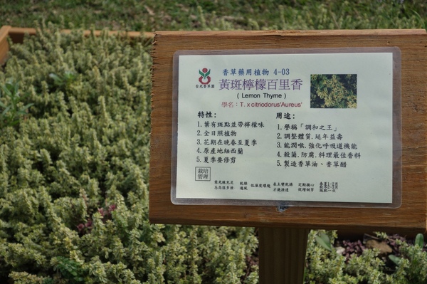 綠樹林幸福農場休閒餐廳：1030211[官本金文愛台灣口碑券第37彈]悠閒漫活的綠樹林幸福農場休閒餐廳享受美食饗宴與大自然譜出幸福樂章