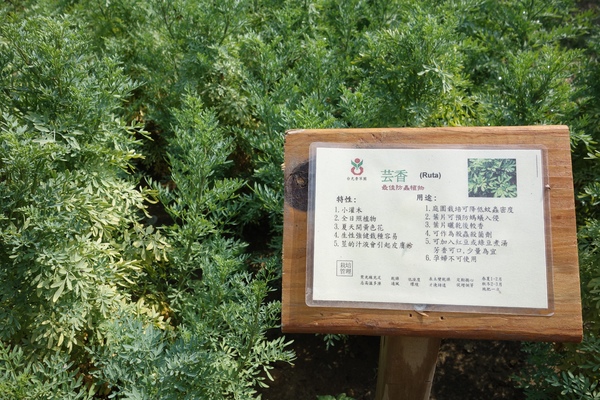 綠樹林幸福農場休閒餐廳：1030211[官本金文愛台灣口碑券第37彈]悠閒漫活的綠樹林幸福農場休閒餐廳享受美食饗宴與大自然譜出幸福樂章