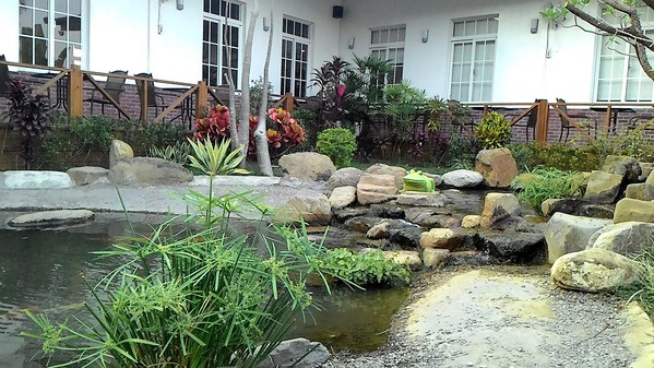 綠樹林幸福農場休閒餐廳：鬧中取靜的地方 ..  綠樹林幸福農場休閒餐廳