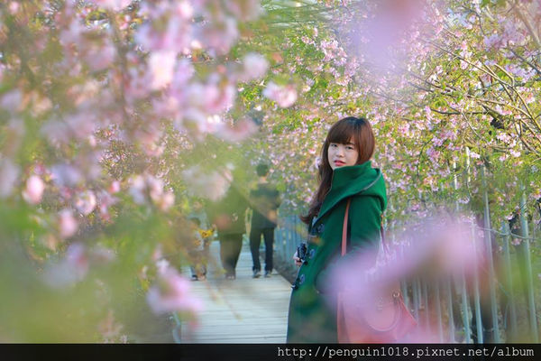 12782412_1250713254942118_862295165_n