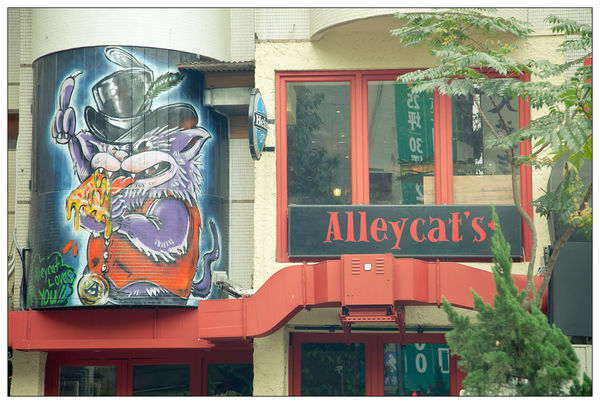 Alley's cat