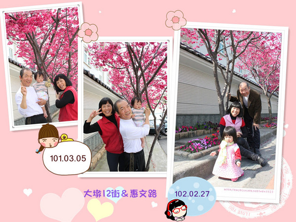 台中賞櫻大墩12街＆惠文路：台中賞櫻in大墩12街＆惠文路~103.02.20