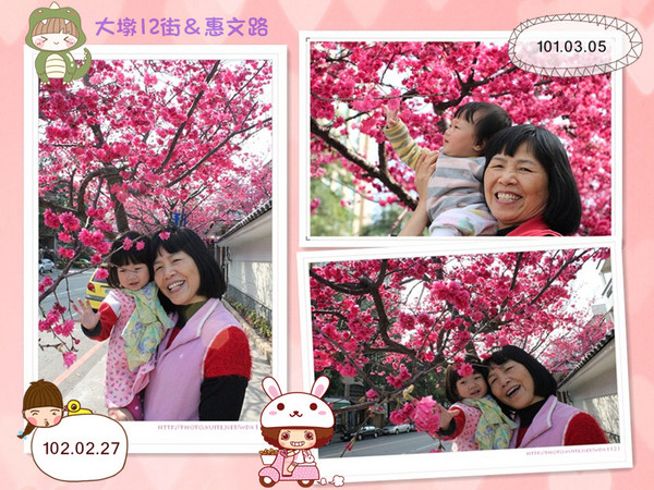 台中賞櫻大墩12街＆惠文路：台中賞櫻in大墩12街＆惠文路~103.02.20