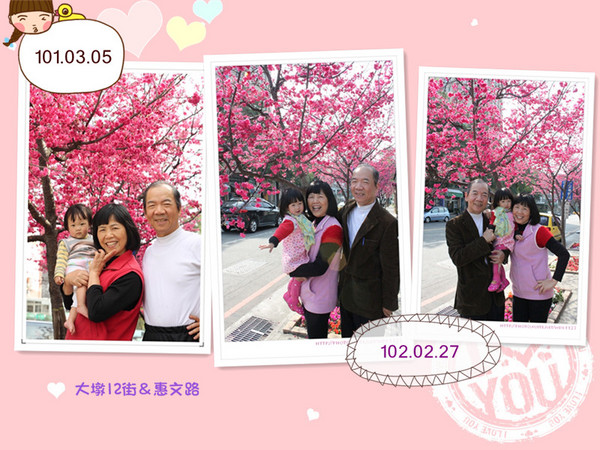 台中賞櫻大墩12街＆惠文路：台中賞櫻in大墩12街＆惠文路~103.02.20