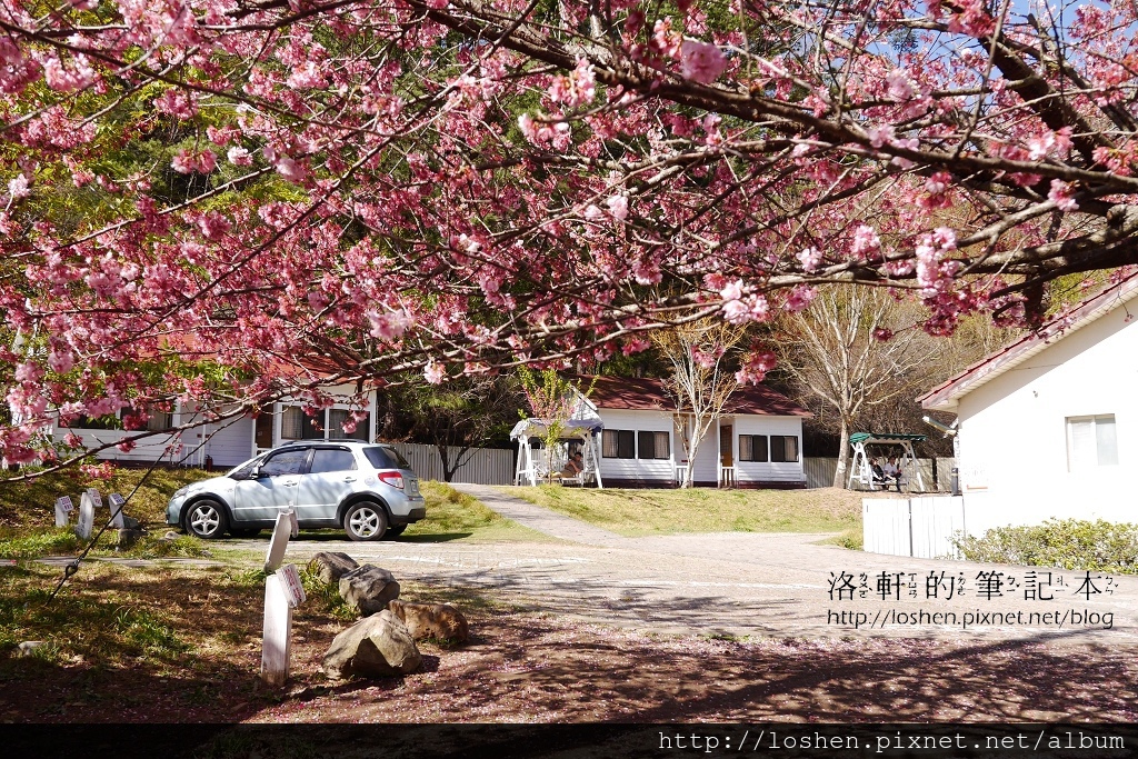 國民賓館楓林木屋VS文康館雙人林間木屋