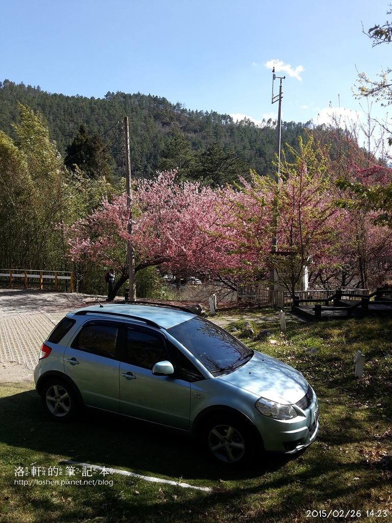 國民賓館楓林木屋VS文康館雙人林間木屋