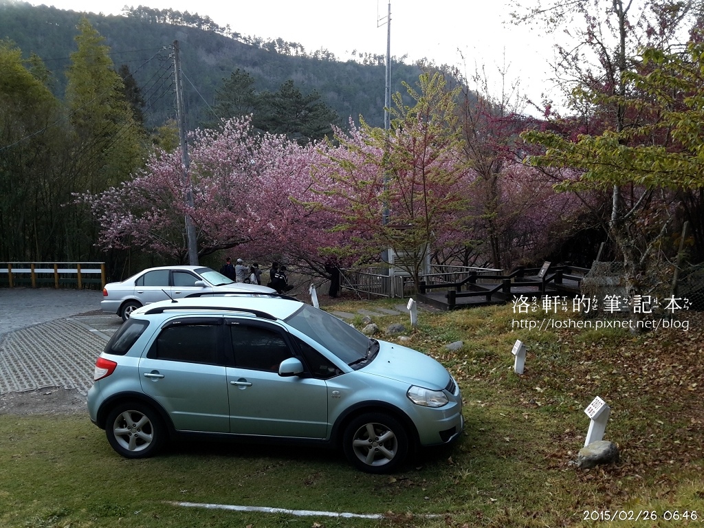 國民賓館楓林木屋VS文康館雙人林間木屋
