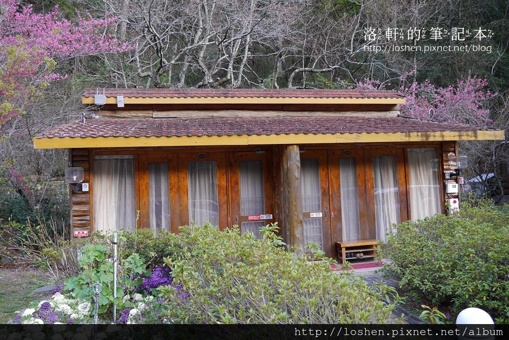 國民賓館楓林木屋VS文康館雙人林間木屋
