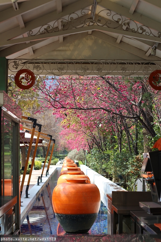 文昌國小：2014台中賞櫻景點大集合~103.02.25