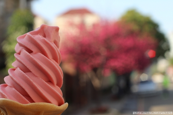 文昌國小：2014台中賞櫻景點大集合~103.02.25