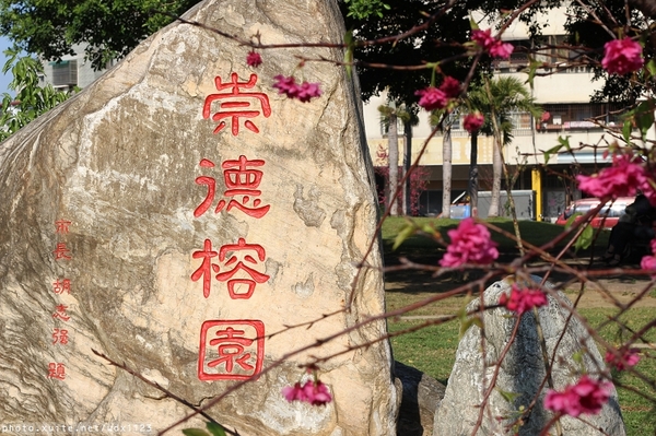 文昌國小：2014台中賞櫻景點大集合~103.02.25